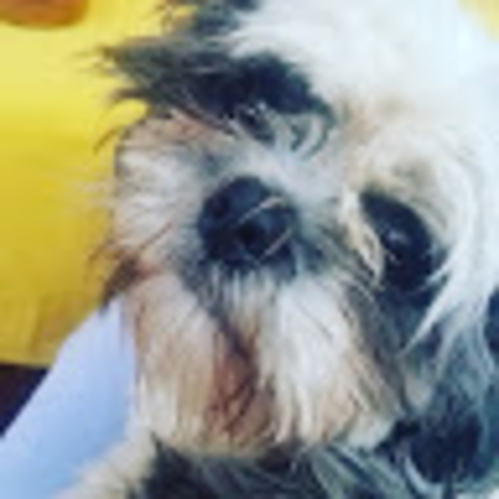 Meet your Posher, Carolina